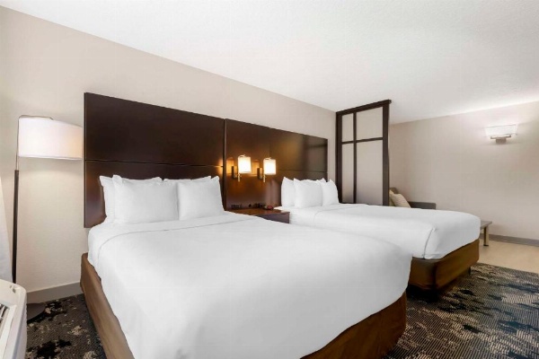 Comfort Inn & Suites Near Universal Orlando Resort-Convention Ctr image 22