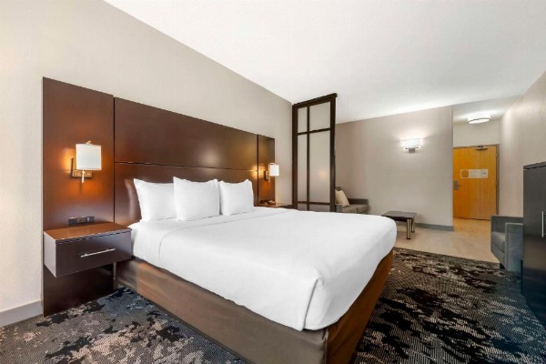 Comfort Inn & Suites Near Universal Orlando Resort-Convention Ctr image 25