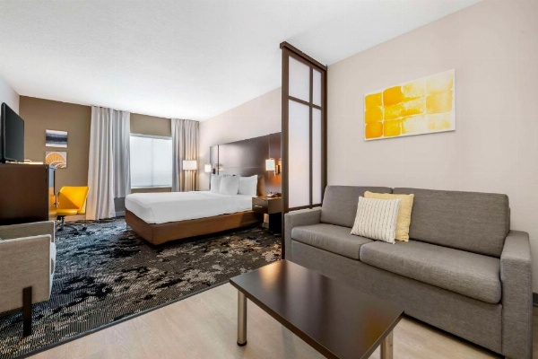 Comfort Inn & Suites Near Universal Orlando Resort-Convention Ctr image 26