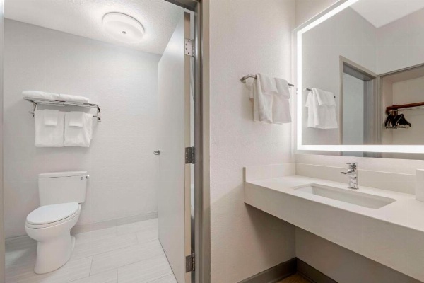 Comfort Inn & Suites Near Universal Orlando Resort-Convention Ctr image 29